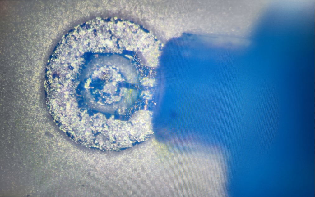 1756386853819144.png 圖片3.png